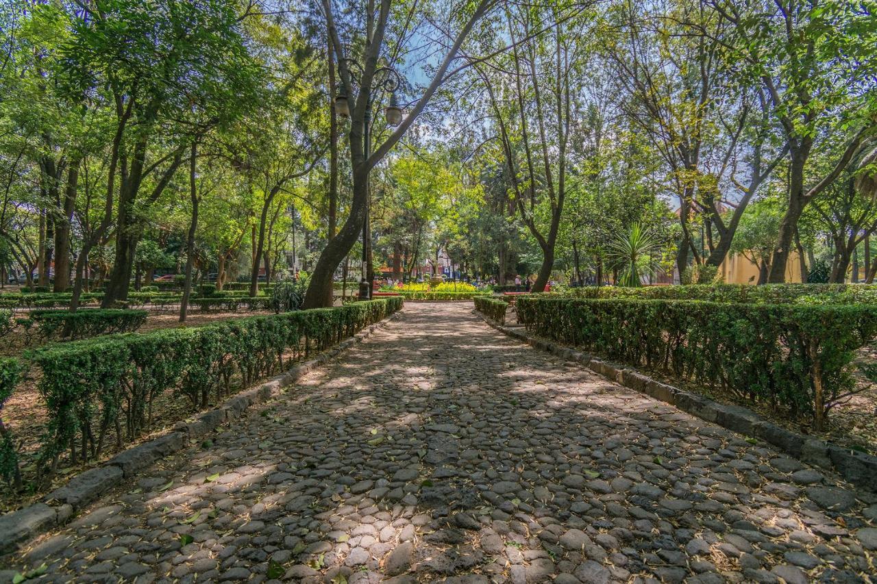 Fl 59 Coyoacan At Your Doorstep! Διαμέρισμα Μεξικό Εξωτερικό φωτογραφία